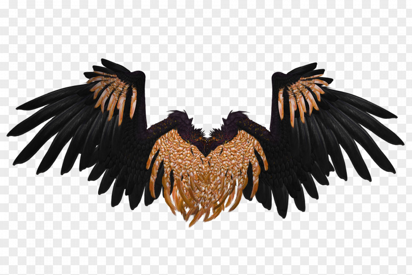 Large Golden Devil Wings Angel Wing 3D Computer Graphics Clip Art PNG