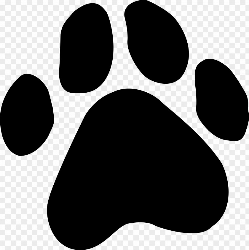 Pawhd Paw Jack Russell Terrier Pet Clip Art PNG