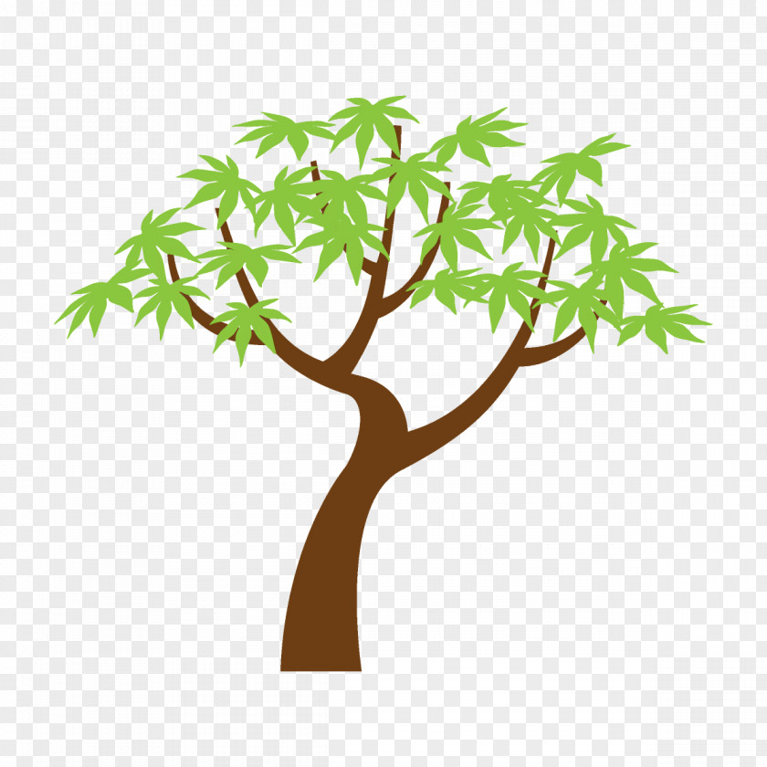 Plant Stem Woody Tree Branch Leaf Green PNG