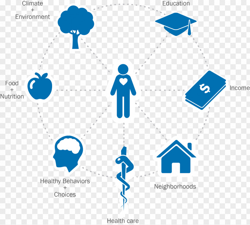 Data Analysis American Public Health Association Care Social Determinants Of PNG