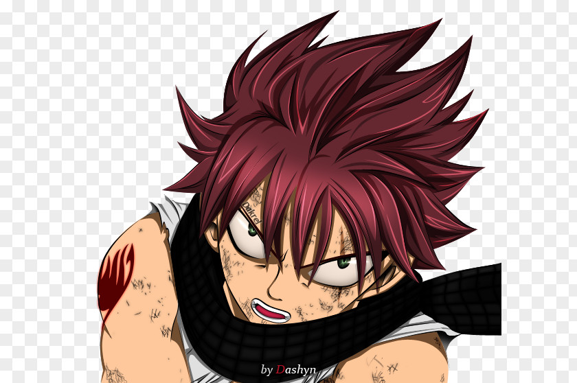 Fairy Tail Natsu Dragneel Wendy Marvell Gray Fullbuster Dragonslayer PNG