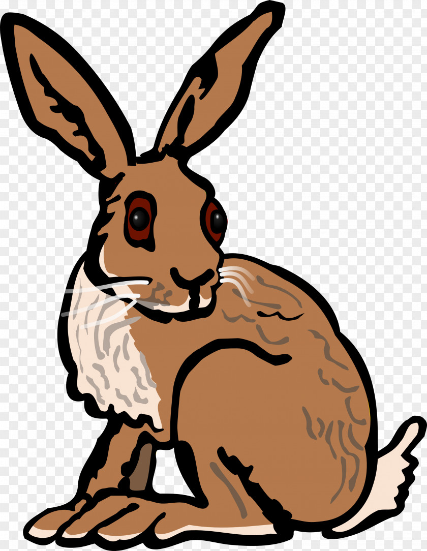 Hare European Arctic Rabbit Clip Art PNG