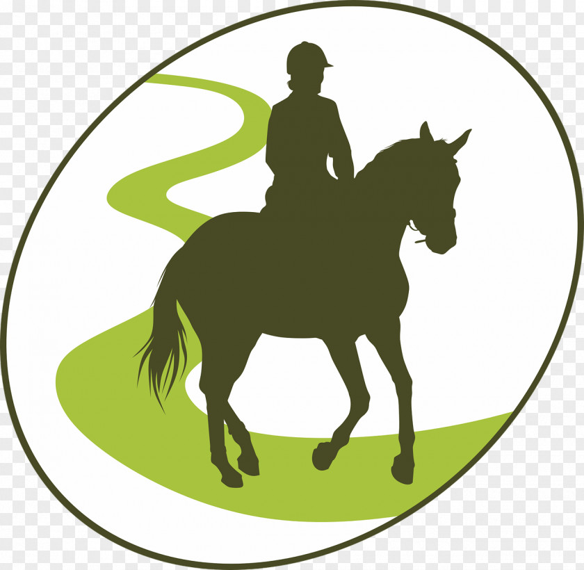Horse Equestrian Endurance Riding Clip Art PNG