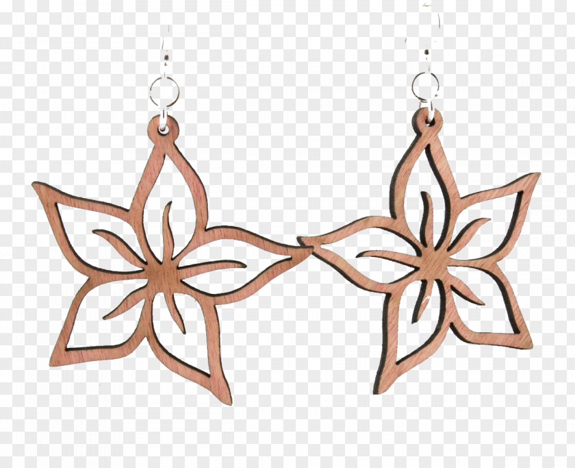 Jewellery Earring Wood Clothing Silver PNG