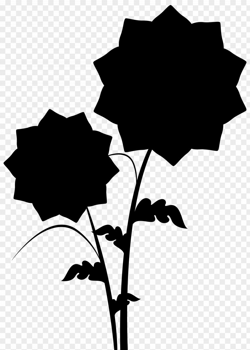 M Clip Art Flower Rose Family Black & White PNG
