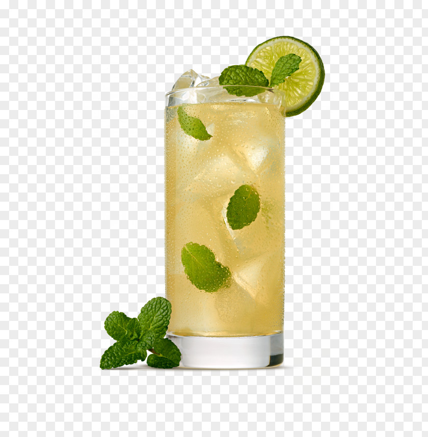 Mojito Cocktail Garnish Lime Mai Tai PNG