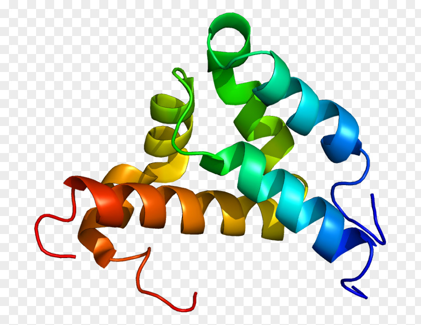 Nuclear Receptor Coactivator 3 Histone Steroid Hormone PNG