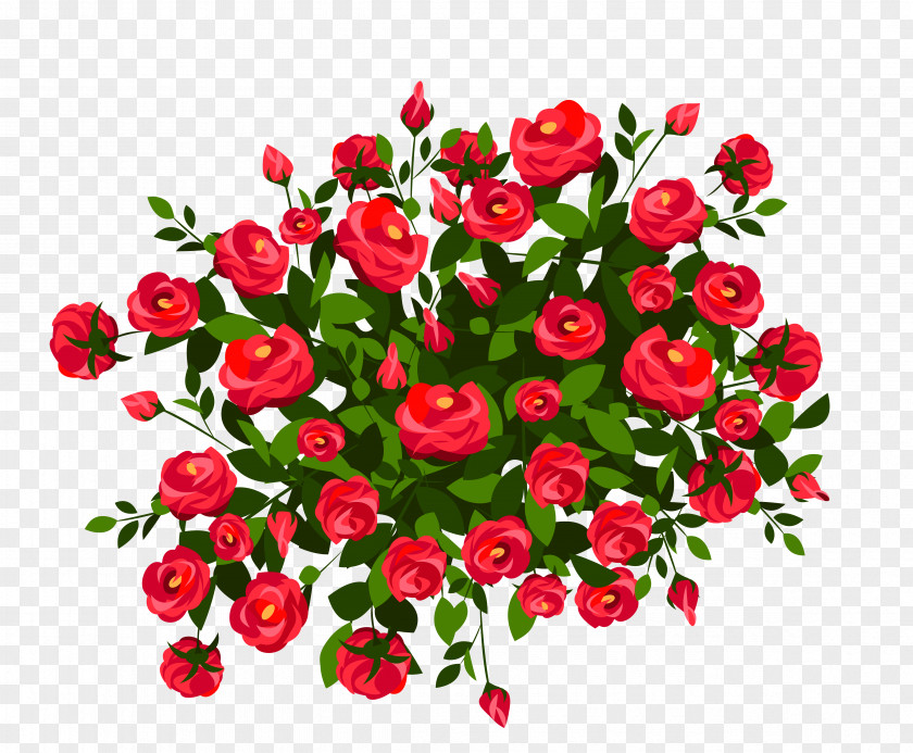 Red Rose Bush Clipart Image Shrub Pink Clip Art PNG