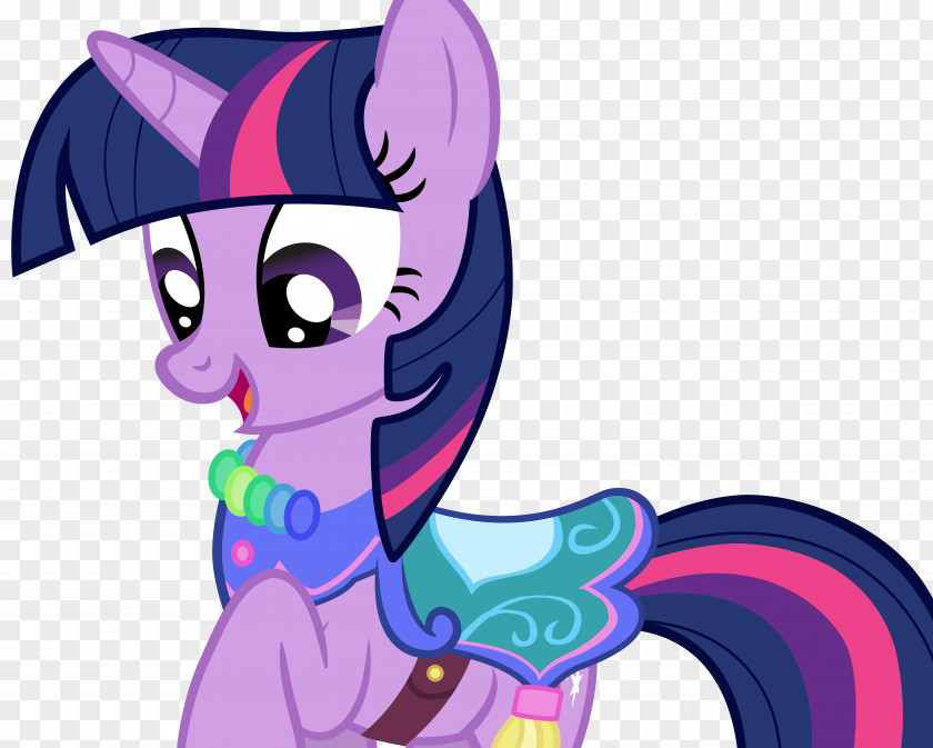 Twilight Pony Sparkle Rarity Applejack Pinkie Pie PNG