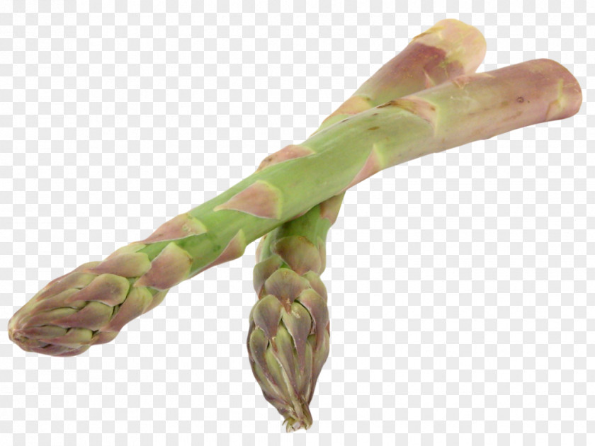 Vegetable Cream Of Asparagus Soup Vegetarian Cuisine Bamboo Shoot PNG