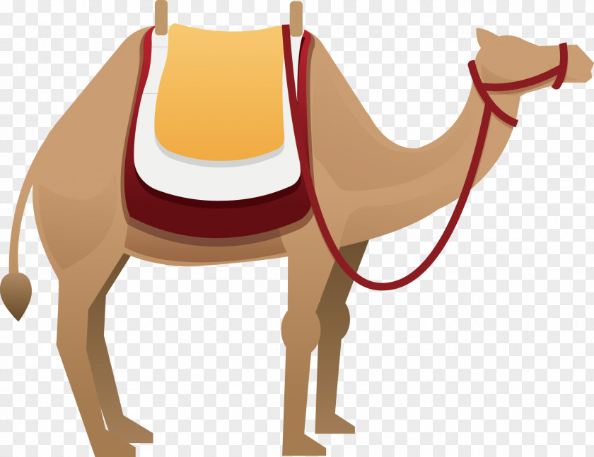 Camel Decoration Euclidean Vector Clip Art PNG