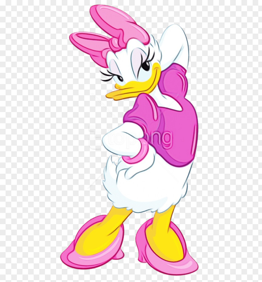 Daisy Duck Donald Minnie Mouse PNG