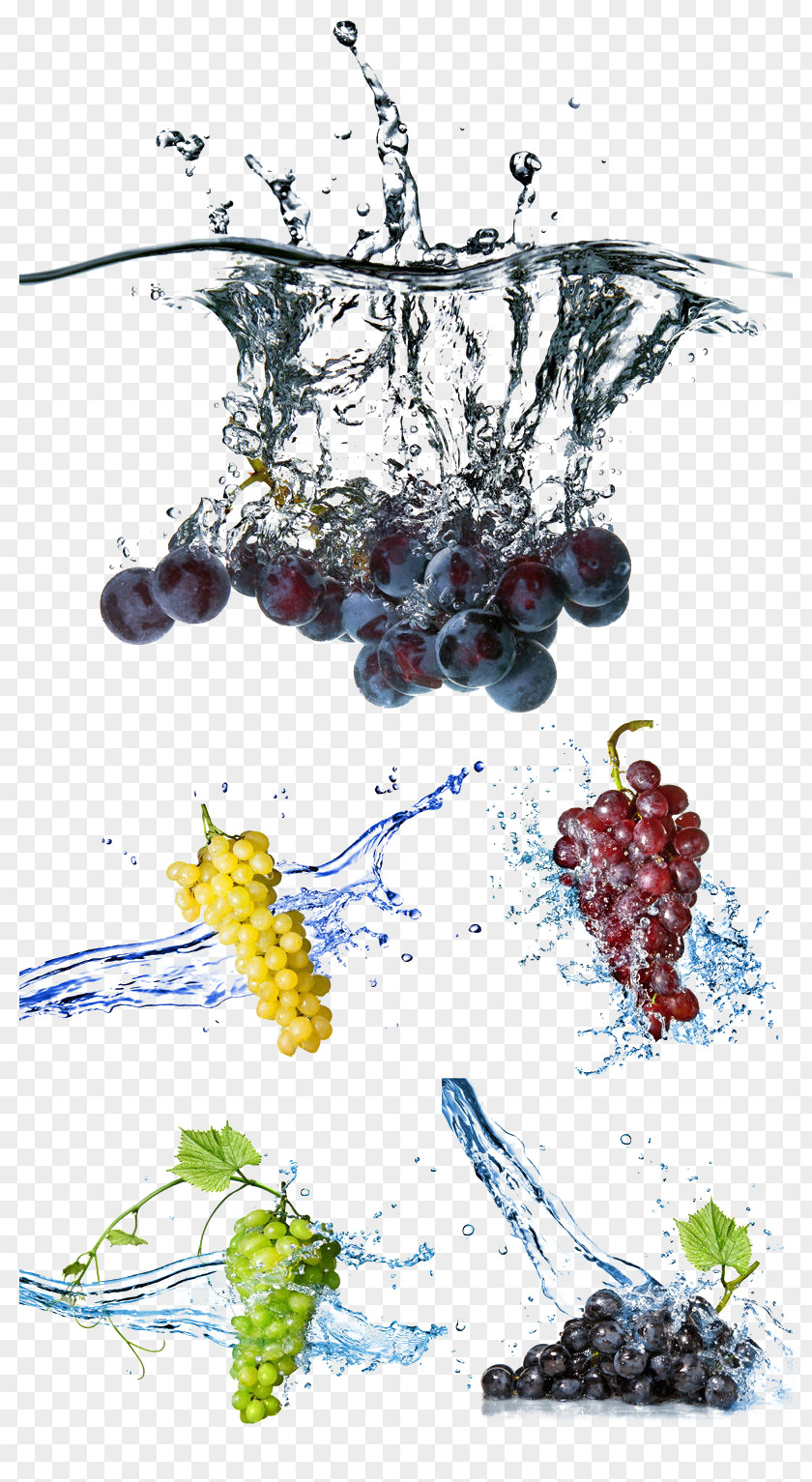 Grape Grapefruit Stock Photography Water PNG