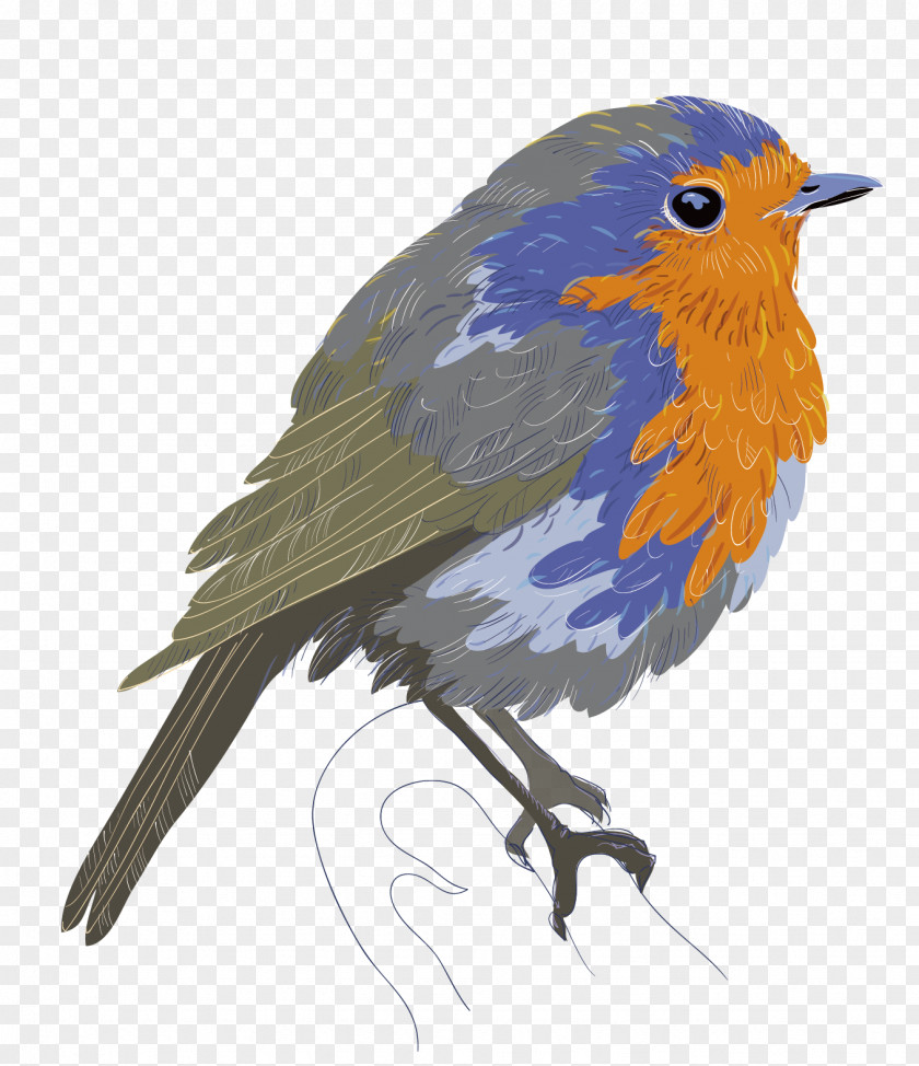 Vector Sparrow Pictures Bird Flight Tweety Euclidean PNG