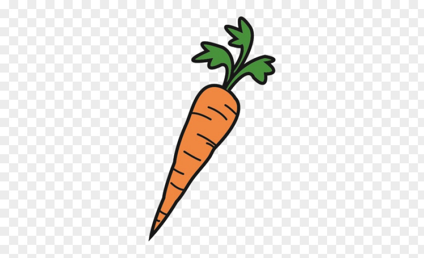 Cenoura Seed Drill Carrot Clip Art Shrub PNG