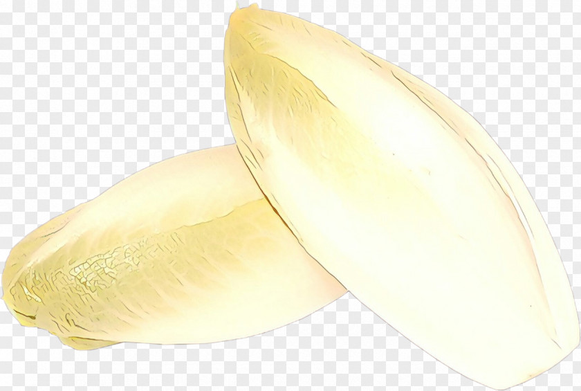 Endive Food Plant Vegetable PNG