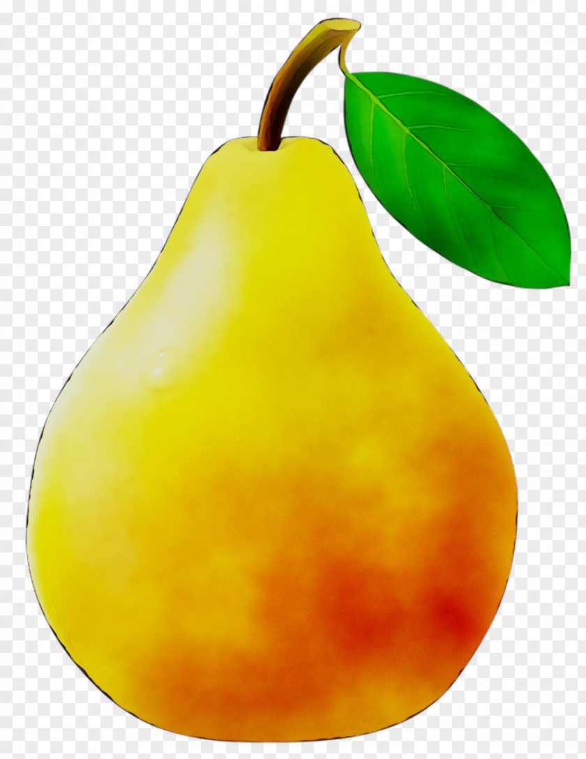 Pear Still Life Photography Fahrenheit PNG