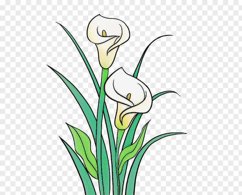 Plant Flower Grass Stem Pedicel PNG