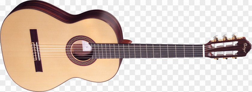 Acoustic Guitar Acoustic-electric Classical Washburn Guitars PNG