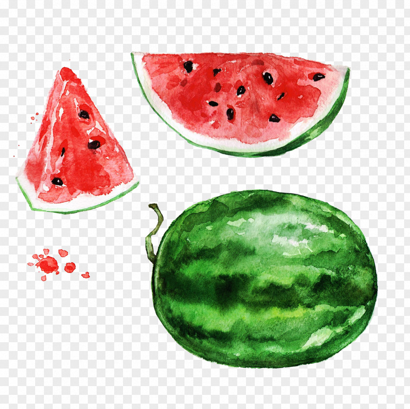 Food Watermelon Juice Watercolor Painting Auglis PNG