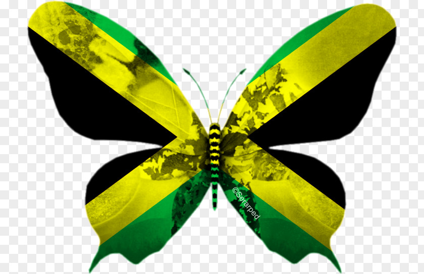 Jamaica Flag Of National Emblem Croatia: Mižerja PNG