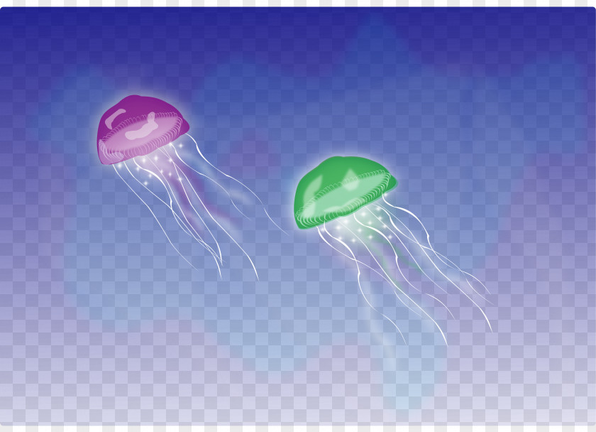 Jellyfish Blue Clip Art PNG