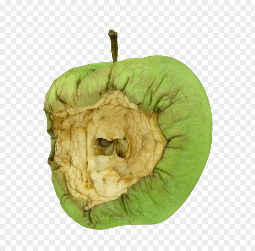 Rotten Apple Photographer Day Time Wedding PNG
