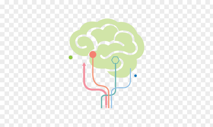 Brain Exercise Sense Development Of The Nervous System Education PNG