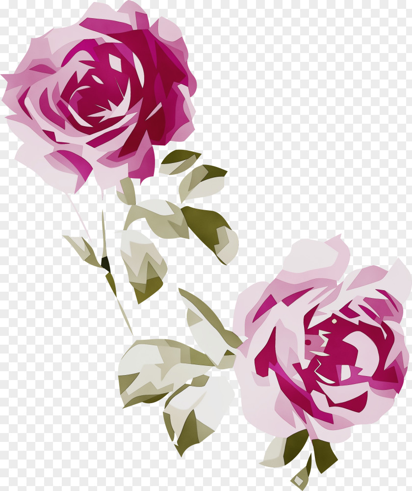 Floral Design PNG