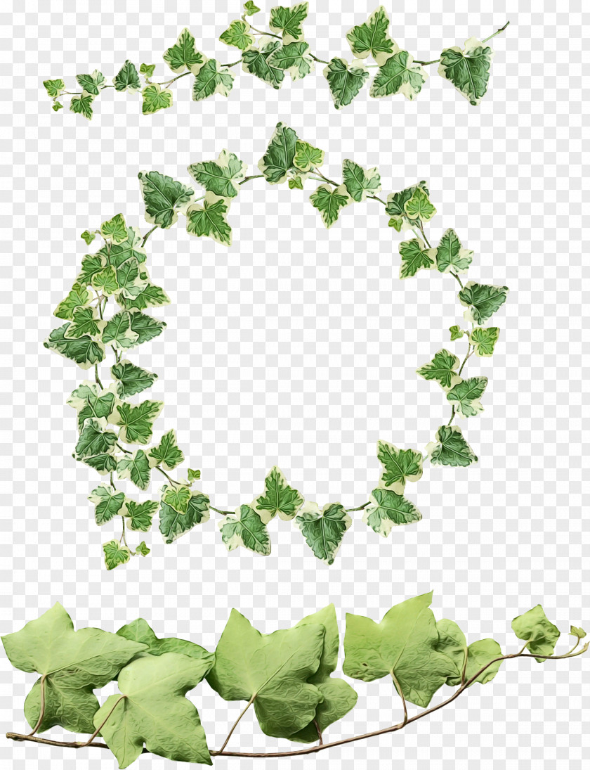 Ivy Family Heart Green Leaf Background PNG