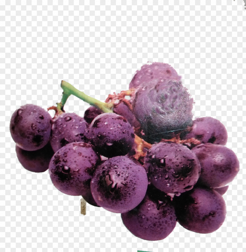 Purple Grape Juice Fruit PNG