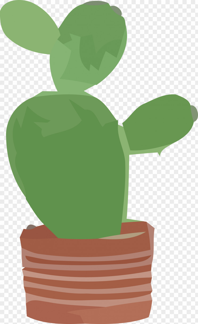 Flowerpot Green Flower Plant Science PNG