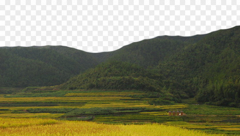 Mountains Surrounded By Rice Fields Loch Nature Reserve Water Resources National Park Ecoregion PNG