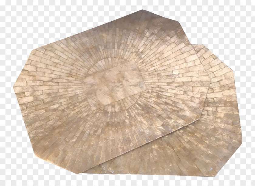 Seashell Wood /m/083vt PNG