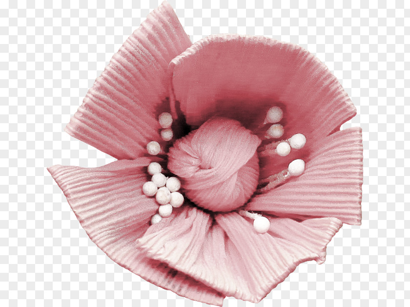 Flower Petal PNG