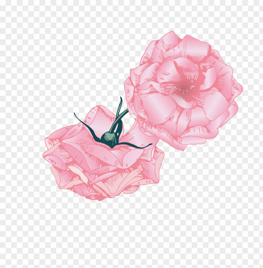 Hand-painted Pink Roses Vector Material Beach Rose Euclidean PNG