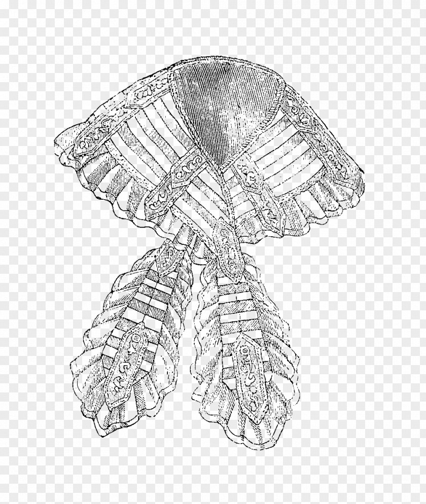 Line Invertebrate Art White Sketch PNG