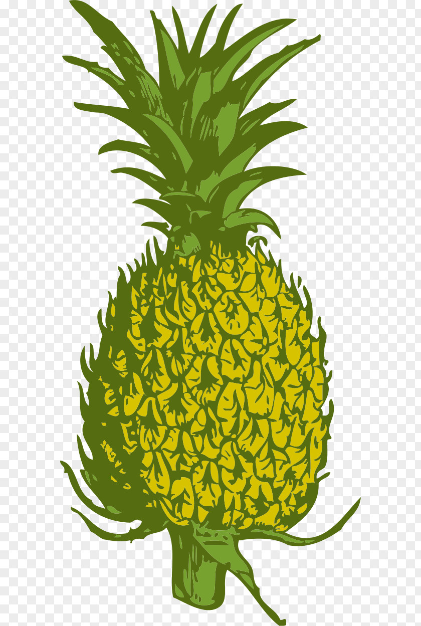 Hawaiian Luau Clipart Pineapple Black And White Free Content Clip Art PNG
