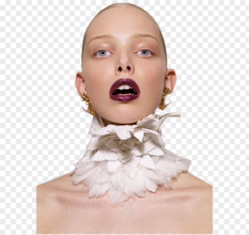 Model Tanya Dziahileva Fashion Show Haute Couture PNG
