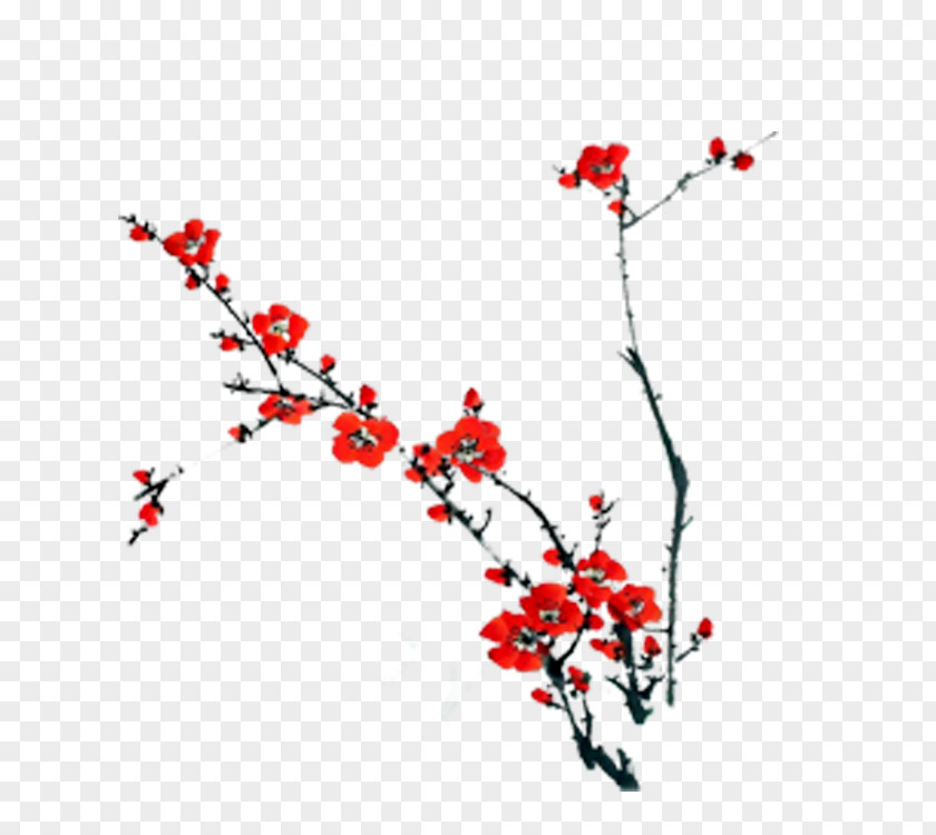 Red And White Plum Blossoms PNG