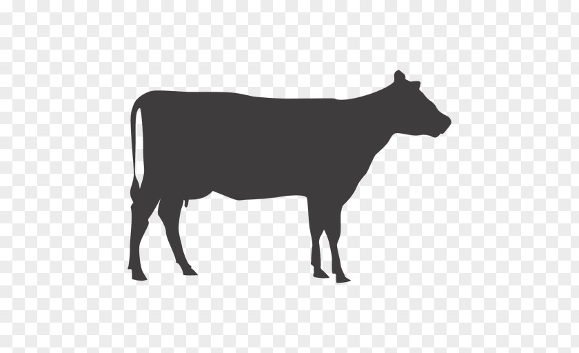 Cow Cattle Livestock Nutsdier Clip Art PNG