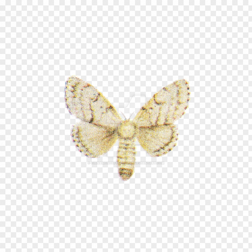 Moth Butterfly Insect Pollinator Brooch PNG
