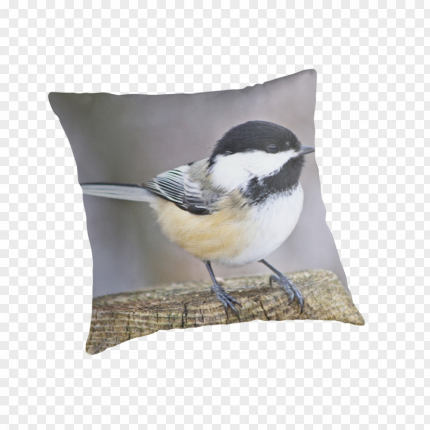 Pillow Throw Pillows Cushion Wren Beak PNG