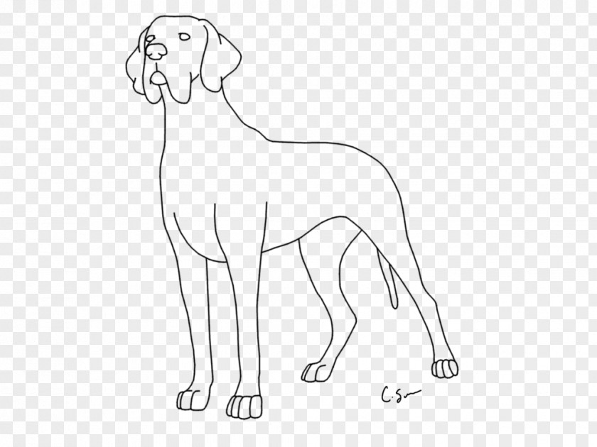 Puppy Dog Breed Great Dane Coloring Book Line Art PNG
