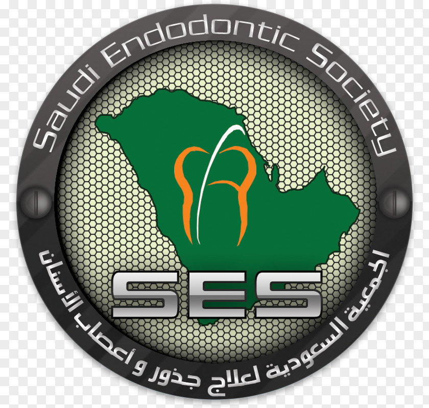 Saudi Team Endodontics Dentistry Root Canal Tooth PNG