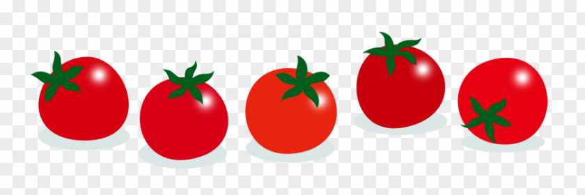 Spring Illustration Plum Tomato Diet Food Clip Art PNG