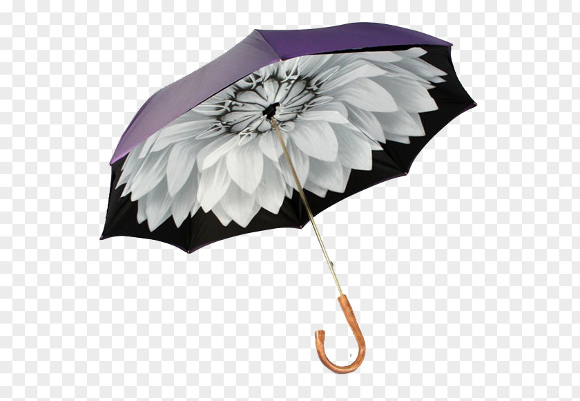 Umbrella Auringonvarjo Raincoat Fashion Accessory PNG
