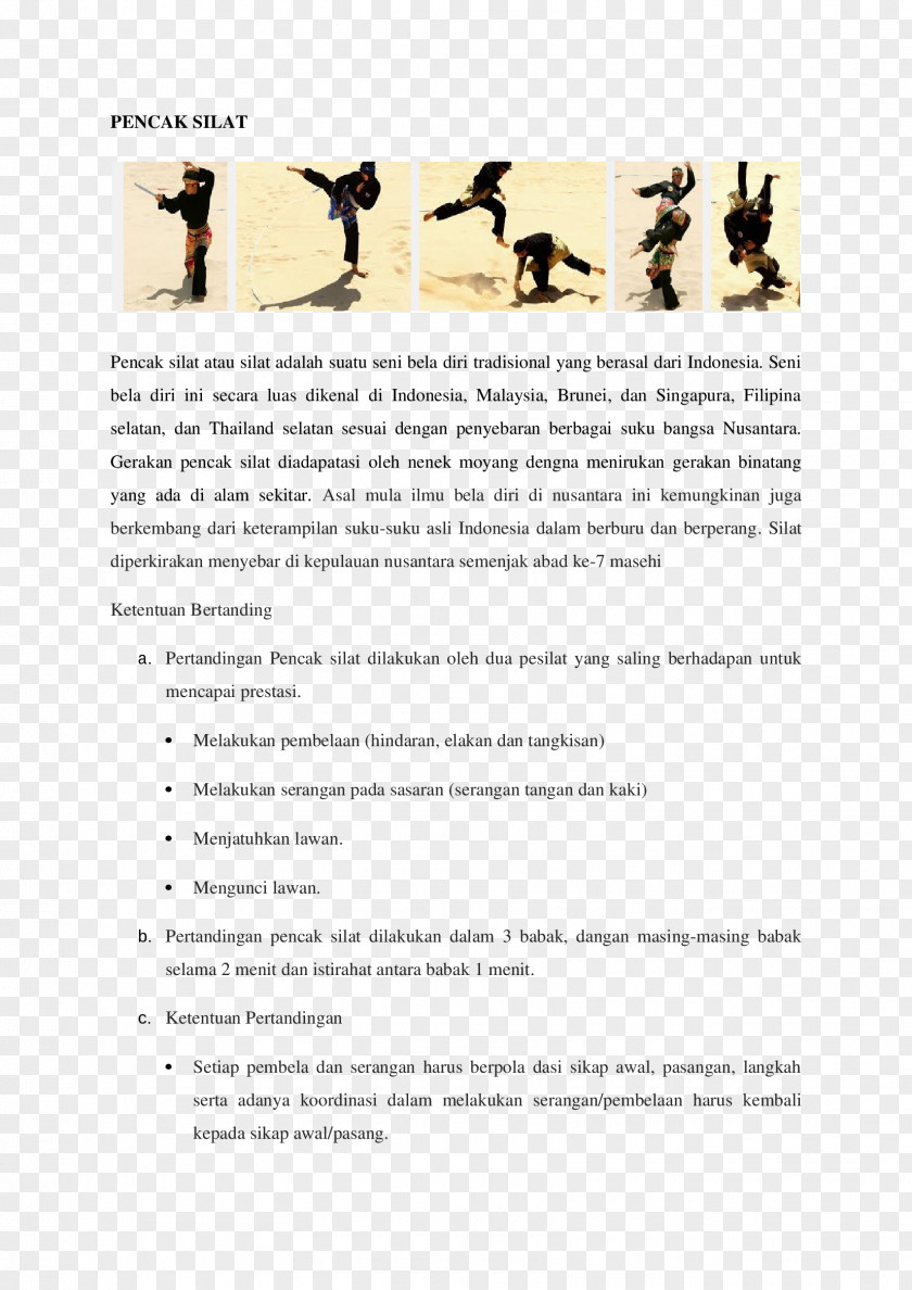 Document Pencak Silat PNG