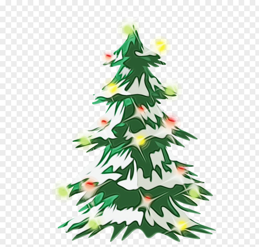 Evergreen Christmas Tree PNG