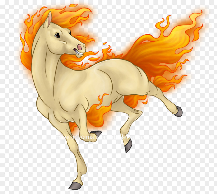 Mustang Mane Pony Drawing Stallion PNG